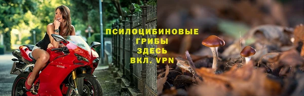 каннабис Елизово