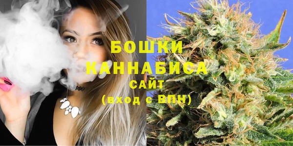 PSILOCYBIN Елабуга