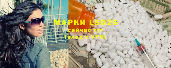 PSILOCYBIN Елабуга
