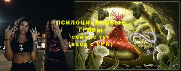 герыч Ельня