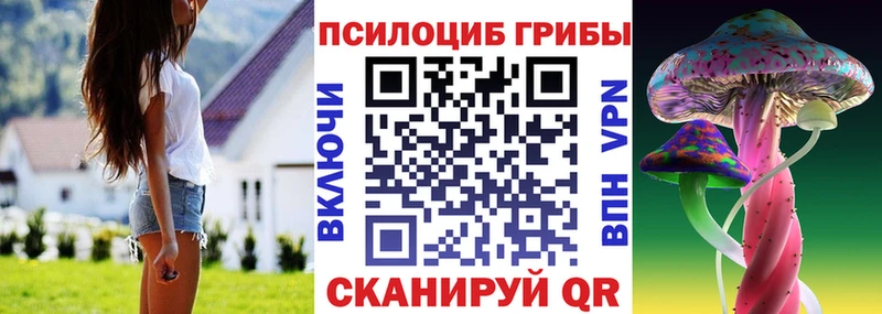 Купить  Нижние Серги  Галлюциногенные грибы прущие грибы 